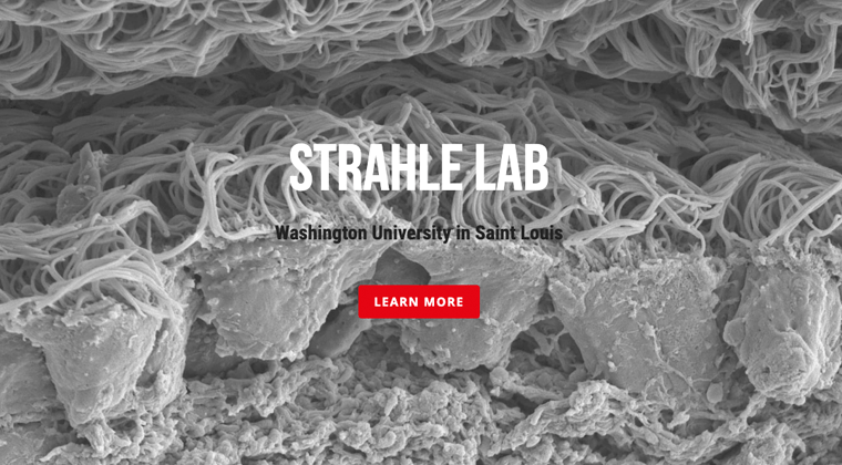 Strahle Lab