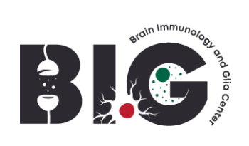 Brain Immunology & Glia Logo